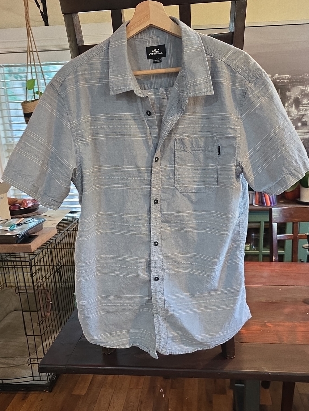 O'Neill Pale Blue Short-Sleeve Button-Down Shirt